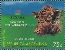 Shorthorn (Bos primigenius taurus)