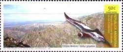National Park Quebrada de los Condoritos, Andean Condor