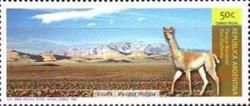 National Park San Guillermo, Vicugna (Vicugna vicugna)