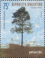Peteribi (Cordia trichotoma)