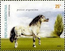 Petiso Argentino (Equus ferus caballus)