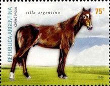 Silla Argentino (Equus ferus caballus)