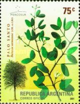 Bulnesia sarmientoi