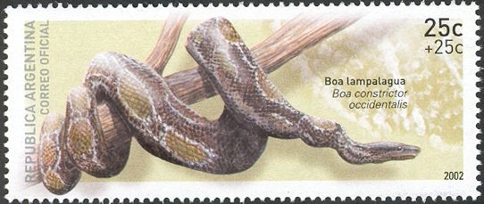 Pro Philately - Argentine Boa (Boa constrictor occidentalis)