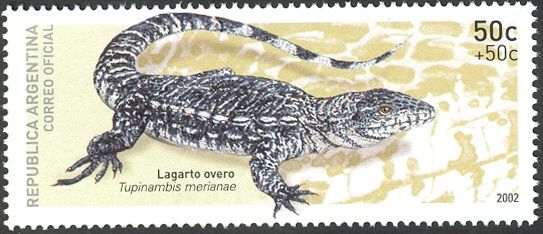 Pro Philately - Black-and-white Tegu (Tupinambis merianae)