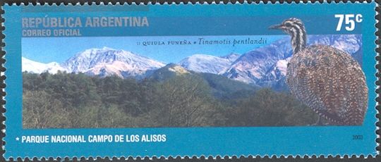 Campo de los Alisos National Park - Puna Tinamou