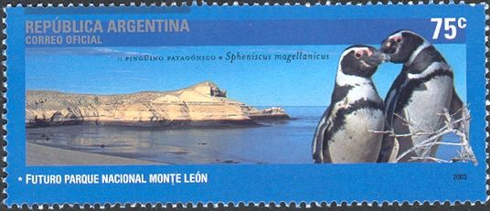 Monte León National Park - Magellanic Penguin