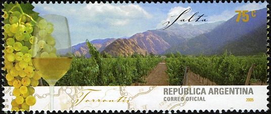 Salta, Cafayate Region, White Wine Torrontés