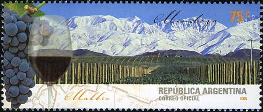 Mendoza, Tupungato Valley, red wine Malbec