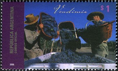 Wine Regions - San Juan - Syrah