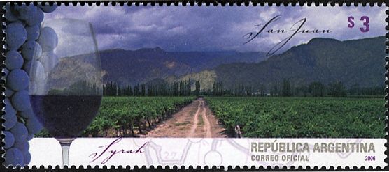 Wine regions - San Juan - Syrah