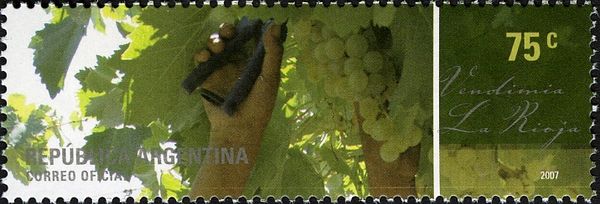La Rioja - Grape harvest - Torrontés