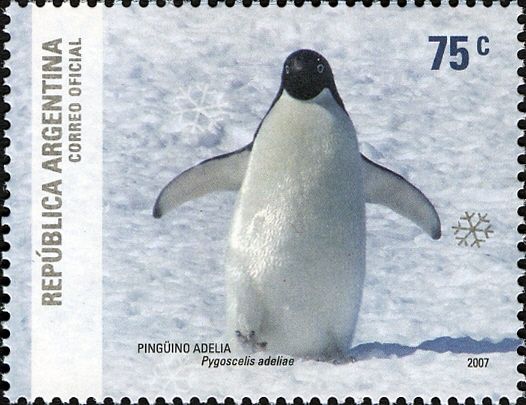 Adelie Penguin (Pygoscelis adeliae)