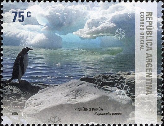 Gentoo Penguin (Pygoscelis papua)