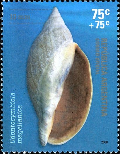 Argentine Philately - Odontocymbiola magellanica
