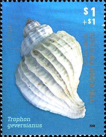 Argentine Philately - Trophon geversianus