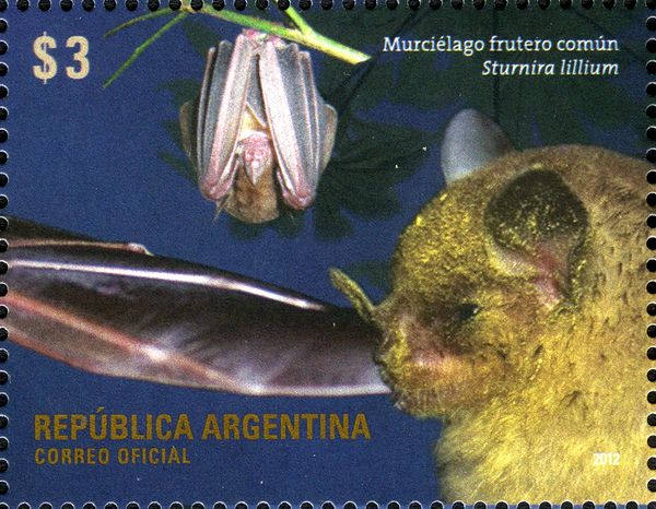 Little Yellow-shouldered Bat (Sturnira lilium)
