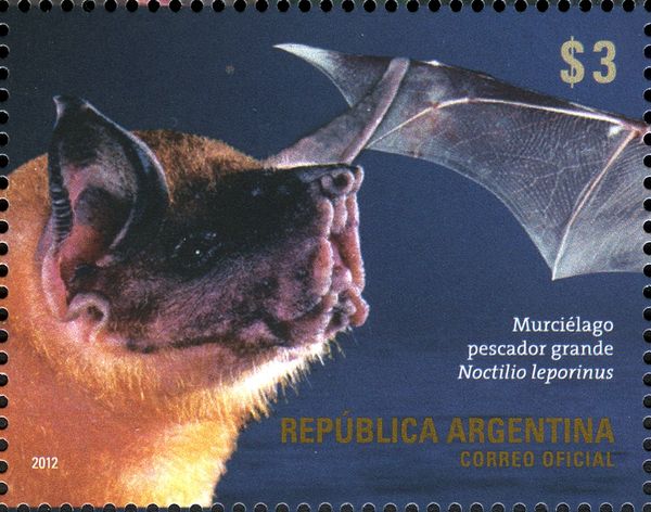 Greater Bulldog Bat (Noctilio leporinus)