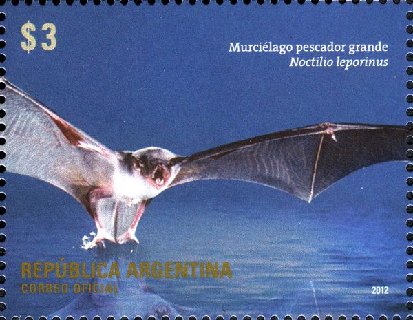 Greater Bulldog Bat (Noctilio leporinus)