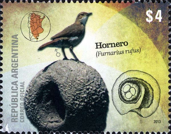 Rufous Hornero (Furnarius rufus)