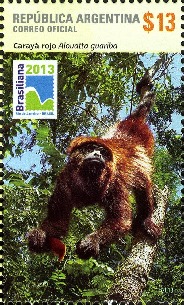 Brown Howler (Alouatta guariba)