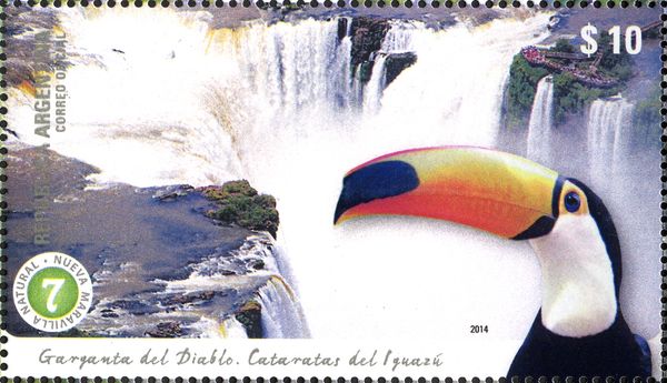 Iguazú Falls, Toco Toucan (Ramphastos toco)