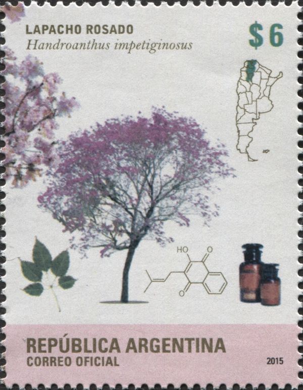 Pink Trumpet Tree (Handroanthus impetiginosus)