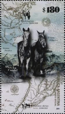 Journey by Horse Buenos Aires to Washington DC