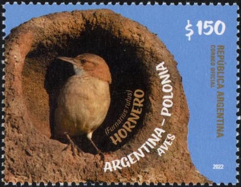 Rufous hornero (Furnarius rufus)