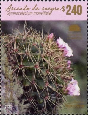 Gymnocalycium monvillei