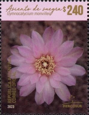 Gymnocalycium monvillei Flower