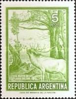Red Deer (ìCervus elaphus)