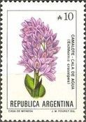Camalote (Eichhornia crassipes)