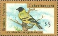 Hooded Siskin (Carduelis magellanica)