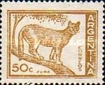 Puma (Felis concolor)