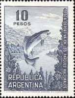 Brown Trout (Salmo trutta)