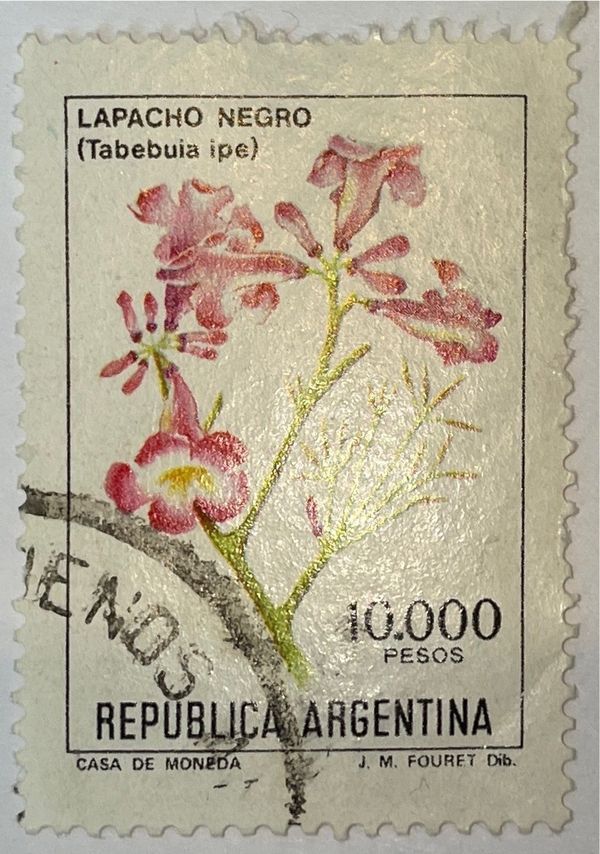 Lapacho Negro (Tabebuia ipe) - Fluo
