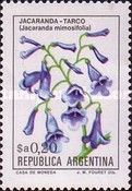 Jacaranda-Tarco (Jacaranda mimosifolia) - Phosphor