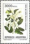 Pata de Vaca (Bauhinia candicans) - Fluo