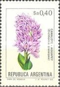 Camalote Aguapey (Eichhornia crassipes) - Phosphor