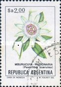 Mburucuyá (Passiflora coerulea) - Phosphor