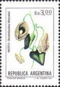 Patito (Aristolochia littoralis) - Fluo