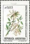 Notro Ciruelillo (Embothrium coccineum)