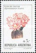 Flor de Cactus (Gymnocalycium bruchii)