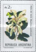 Pata de Vaca (Bauhinina candicans)