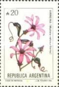 Virrenya (Mutisia retusa)