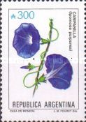Campanilla (Ipomoea purpurea)