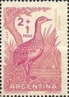 Red-winged Tinamou (Rhynchotus rufescens)