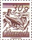 Golden Eagle (Aquila chrysaetos)