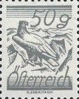 Golden Eagle (Aquila chrysaetos)